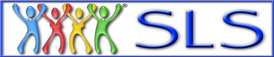DashBoardHosting, Inc - SLS